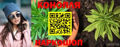 индика Абинск
