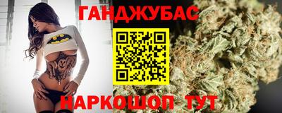 индика Абакан